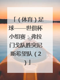 （体育）足球——世俱杯小组赛：弗拉门戈队胜突尼斯希望队（2）
