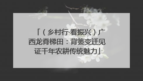 （乡村行·看振兴）广西龙脊梯田：背篓变迁见证千年农耕传统魅力
