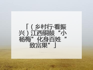 （乡村行·看振兴）江西铜鼓“小杨梅”化身百姓“致富果”