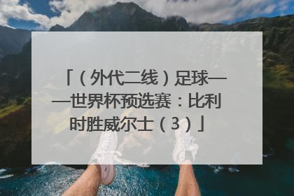 （外代二线）足球——世界杯预选赛：比利时胜威尔士（3）
