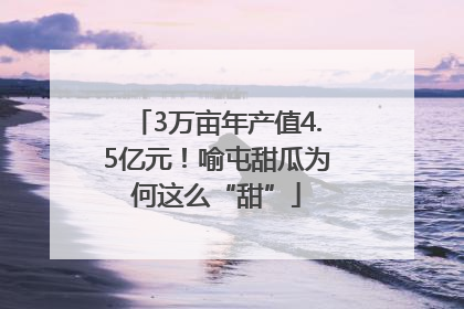 3万亩年产值4.5亿元！喻屯甜瓜为何这么“甜”