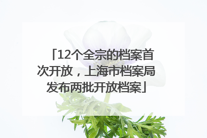 12个全宗的档案首次开放，上海市档案局发布两批开放档案