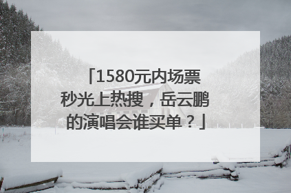 1580元内场票秒光上热搜，岳云鹏的演唱会谁买单？