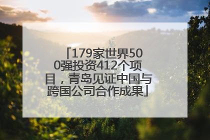 179家世界500强投资412个项目，青岛见证中国与跨国公司合作成果