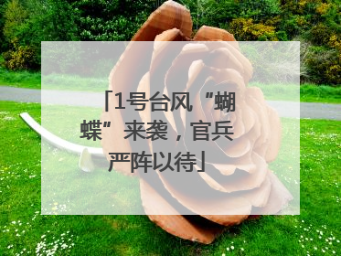 1号台风“蝴蝶”来袭，官兵严阵以待