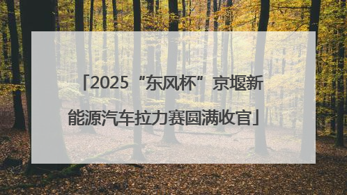 2025“东风杯”京堰新能源汽车拉力赛圆满收官