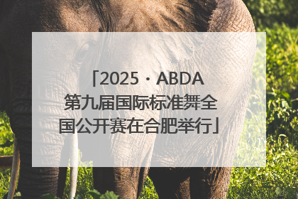 2025・ABDA 第九届国际标准舞全国公开赛在合肥举行