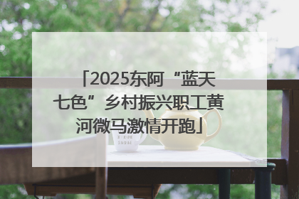 2025东阿“蓝天七色”乡村振兴职工黄河微马激情开跑
