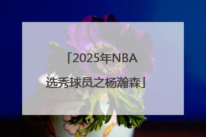 2025年NBA选秀球员之杨瀚森