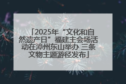 2025年“文化和自然遗产日”福建主会场活动在漳州东山举办 三条文物主题游径发布