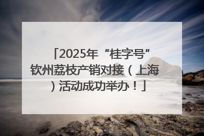 2025年“桂字号”钦州荔枝产销对接（上海）活动成功举办！