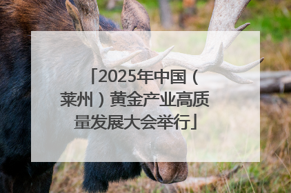 2025年中国（莱州）黄金产业高质量发展大会举行