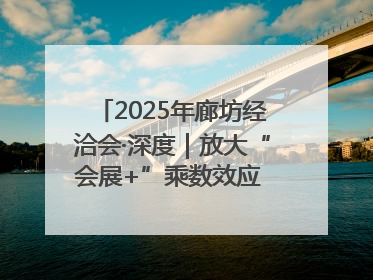 2025年廊坊经洽会·深度｜放大“会展+”乘数效应 打造消费新场景