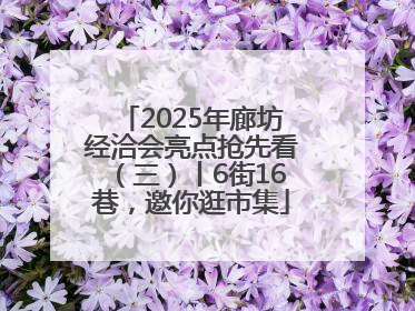 2025年廊坊经洽会亮点抢先看（三）丨6街16巷，邀你逛市集