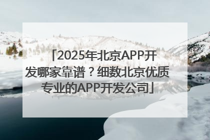 2025年北京APP开发哪家靠谱？细数北京优质专业的APP开发公司
