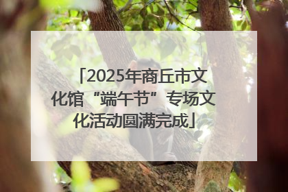 2025年商丘市文化馆“端午节”专场文化活动圆满完成