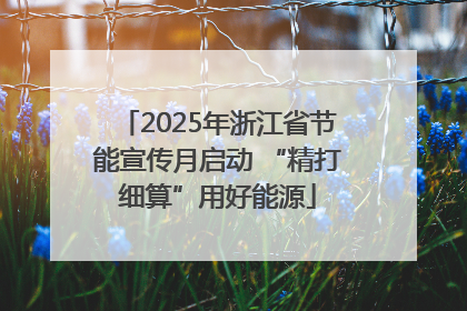 2025年浙江省节能宣传月启动 “精打细算”用好能源