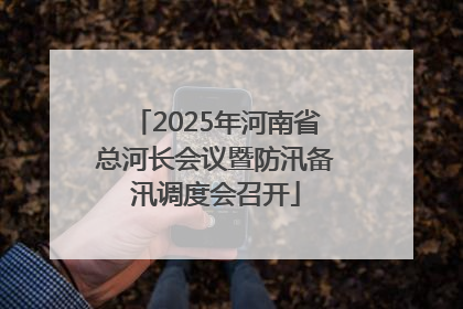 2025年河南省总河长会议暨防汛备汛调度会召开