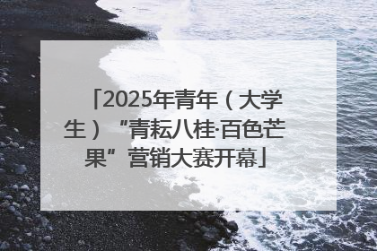 2025年青年（大学生）“青耘八桂·百色芒果”营销大赛开幕