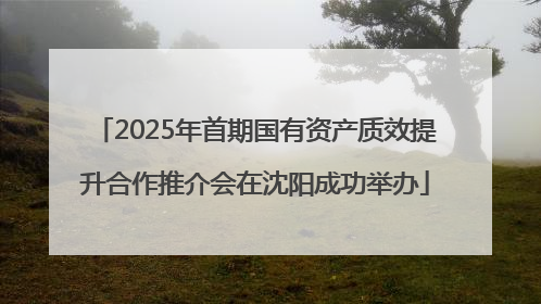 2025年首期国有资产质效提升合作推介会在沈阳成功举办