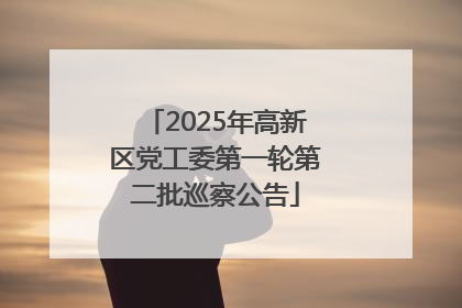 2025年高新区党工委第一轮第二批巡察公告
