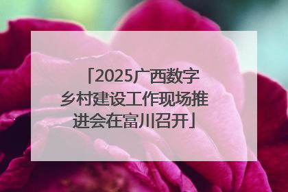 2025广西数字乡村建设工作现场推进会在富川召开