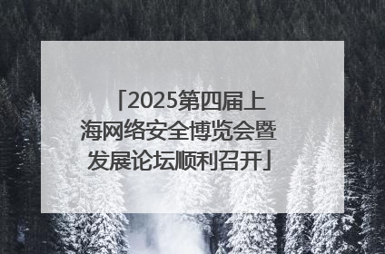 2025第四届上海网络安全博览会暨发展论坛顺利召开