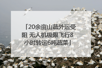 20余亩山蔬外运受阻 无人机极限飞行8小时转运6吨蔬菜