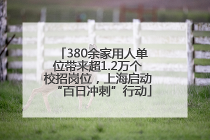 380余家用人单位带来超1.2万个校招岗位，上海启动“百日冲刺”行动