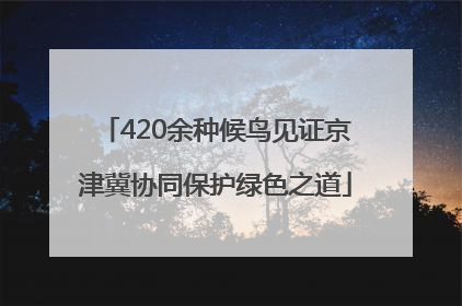 420余种候鸟见证京津冀协同保护绿色之道