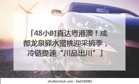 48小时直达粤港澳！成都龙泉驿水蜜桃迎采摘季，冷链提速“川品出川”