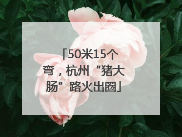 50米15个弯，杭州“猪大肠”路火出圈