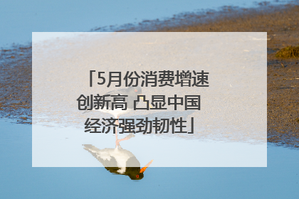 5月份消费增速创新高 凸显中国经济强劲韧性