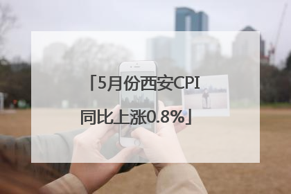 5月份西安CPI同比上涨0.8%
