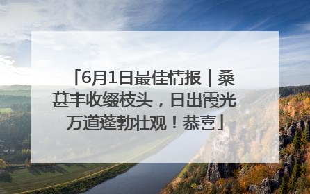 6月1日最佳情报｜桑葚丰收缀枝头，日出霞光万道蓬勃壮观！恭喜