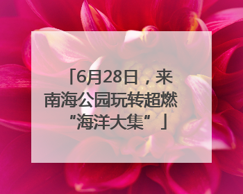 6月28日，来南海公园玩转超燃 “海洋大集”