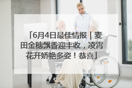 6月4日最佳情报｜麦田金穗飘香迎丰收，凌霄花开娇艳多姿！恭喜