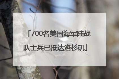 700名美国海军陆战队士兵已抵达洛杉矶