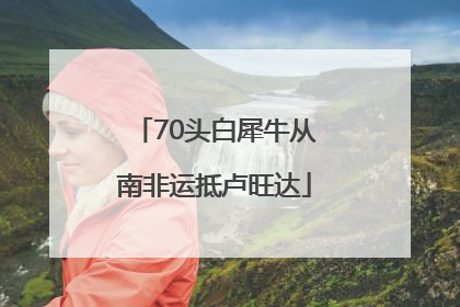70头白犀牛从南非运抵卢旺达