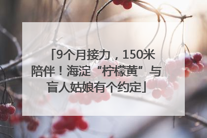 9个月接力，150米陪伴！海淀“柠檬黄”与盲人姑娘有个约定