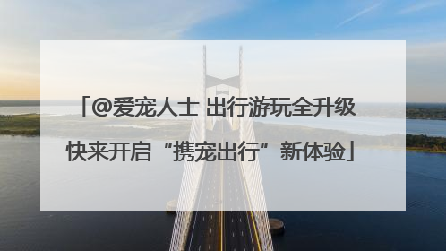 @爱宠人士 出行游玩全升级 快来开启“携宠出行”新体验