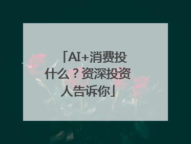 AI+消费投什么？资深投资人告诉你